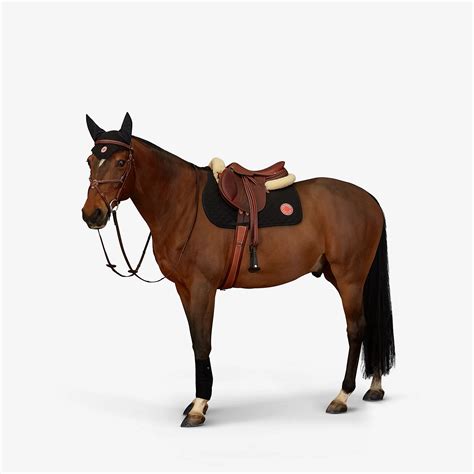 hermes equestrian collection.